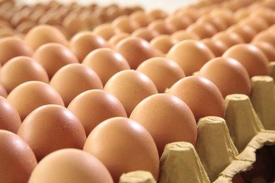 绵阳鸡蛋检测价格,鸡蛋检测机构,鸡蛋检测项目,鸡蛋常规检测